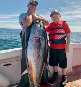 Giant Tuna in Massachusetts